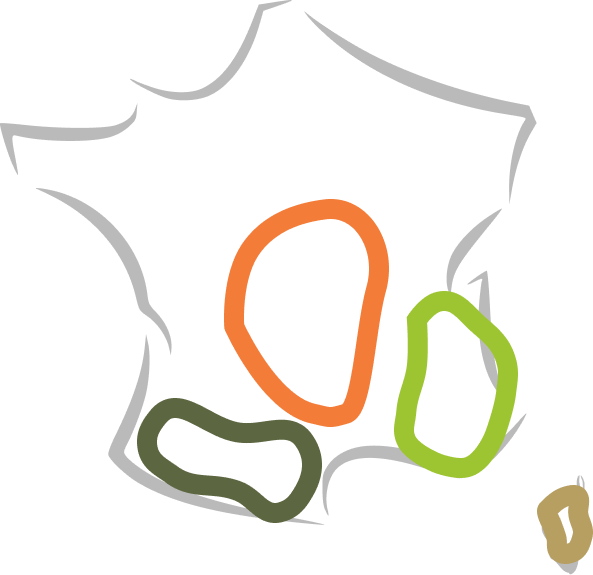Carte stylisée du territoire BoisLocal
